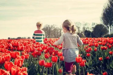 Foto, Kinder spielen auf einer Wiese